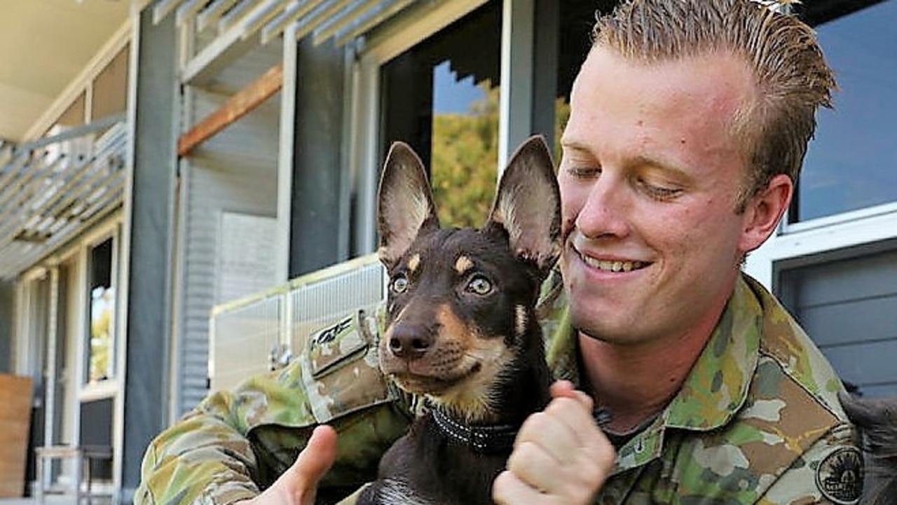 Australian Army 3 Combat Engineer Regiment enlists new explosive ...