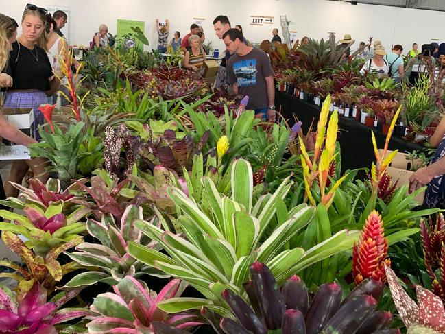 Carrara Markets plant sale. 