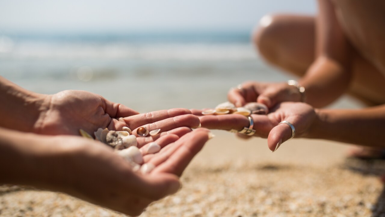 "The repetitive patterns of nature that appear on leaves, trees and shells, can help to reduce acute stress in as little as 60 seconds." Image: iStock