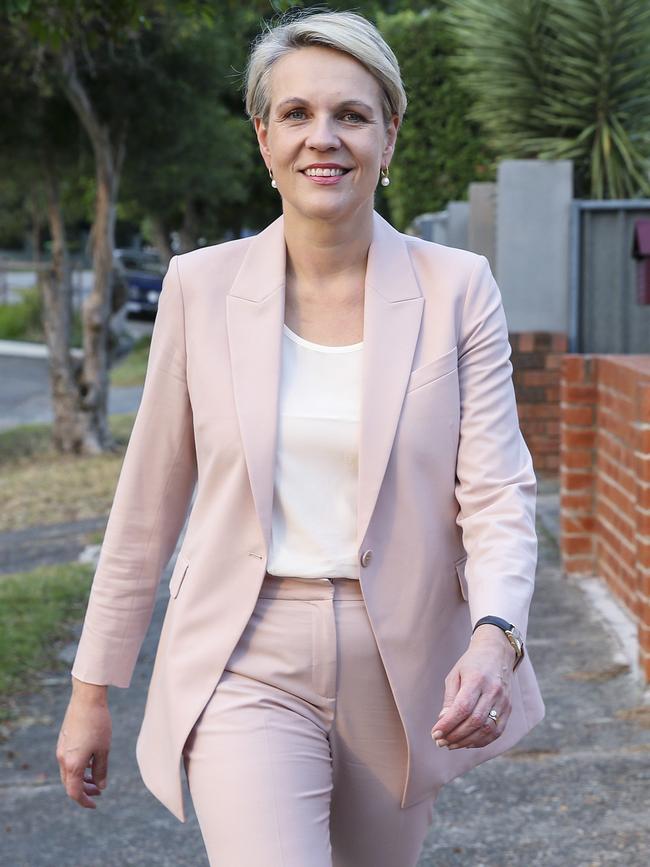 Tanya Plibersek pulled out of the running citing family issues. Picture: Justin Lloyd