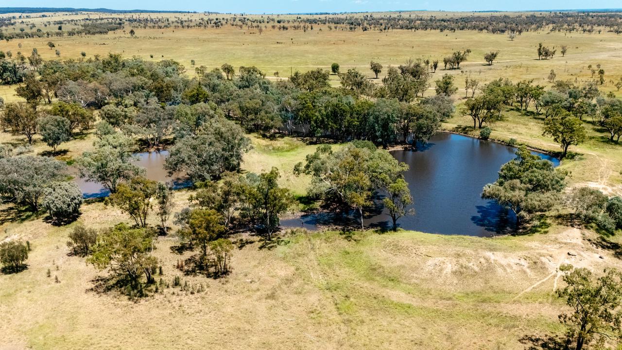 Queensland family’s wagyu gem hits the market