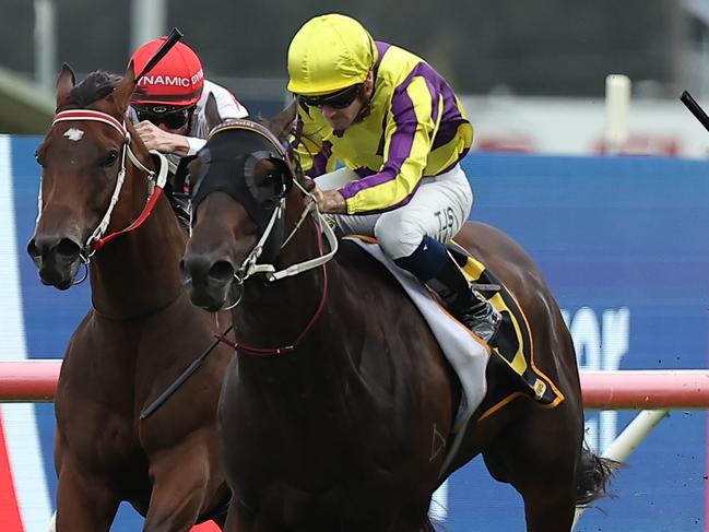 SYDNEY, AUSTRALIA - FEBRUARY 01: Tyler Schiller riding Willaidow win Race 8 Schweppes Southern Cross Stakes during Sydney Racing at Rosehill Gardens on February 01, 2025 in Sydney, Australia. (Photo by Jeremy Ng/Getty Images)