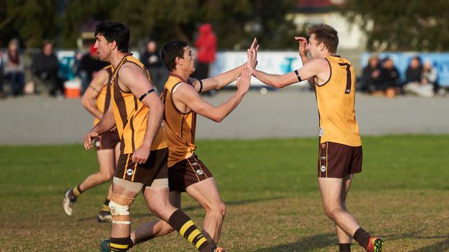 West Croydon's Luke Woodcock (right) had five majors for the Hawks in a big round 15 win. Picture: Matt Loxton