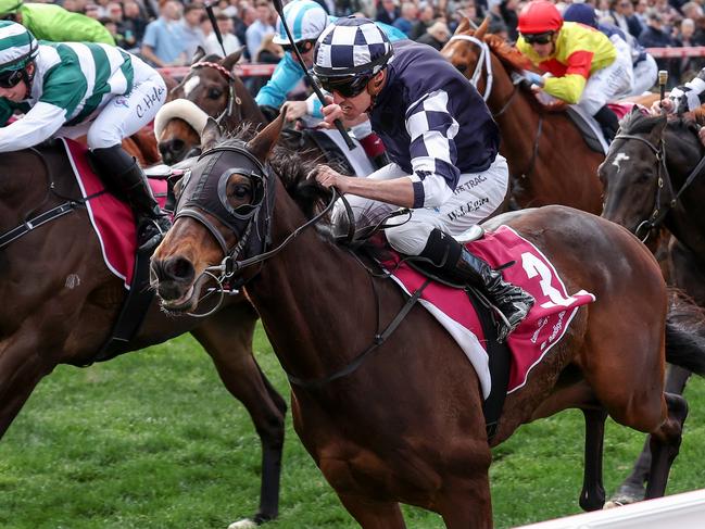 Young Werther (NZ) ridden by Billy Egan wins the Strathmore Community Bendigo Bank Handicap at Moonee Valley Racecourse on September 09, 2023 in Moonee Ponds, Australia. (Photo by George Sal/Racing Photos via Getty Images)