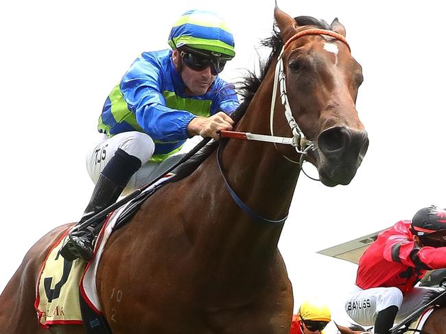 SYDNEY, AUSTRALIA - DECEMBER 28: Tyler Schiller riding Gallo Nero wins Race 1 Petaluma Handicap during Sydney Racing at Royal Randwick Racecourse on December 28, 2024 in Sydney, Australia. (Photo by Jeremy Ng/Getty Images) ***BESTPIX***