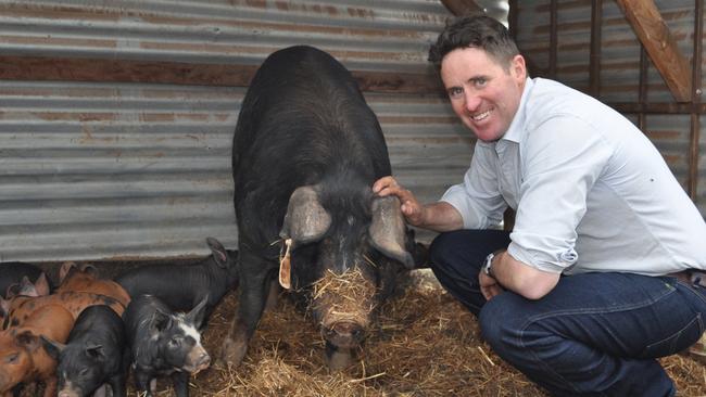 Love of pigs:  Michael Hicks from  Extraordinary Pork  at Eumungerie in  Central West NSW with one of their  sows.