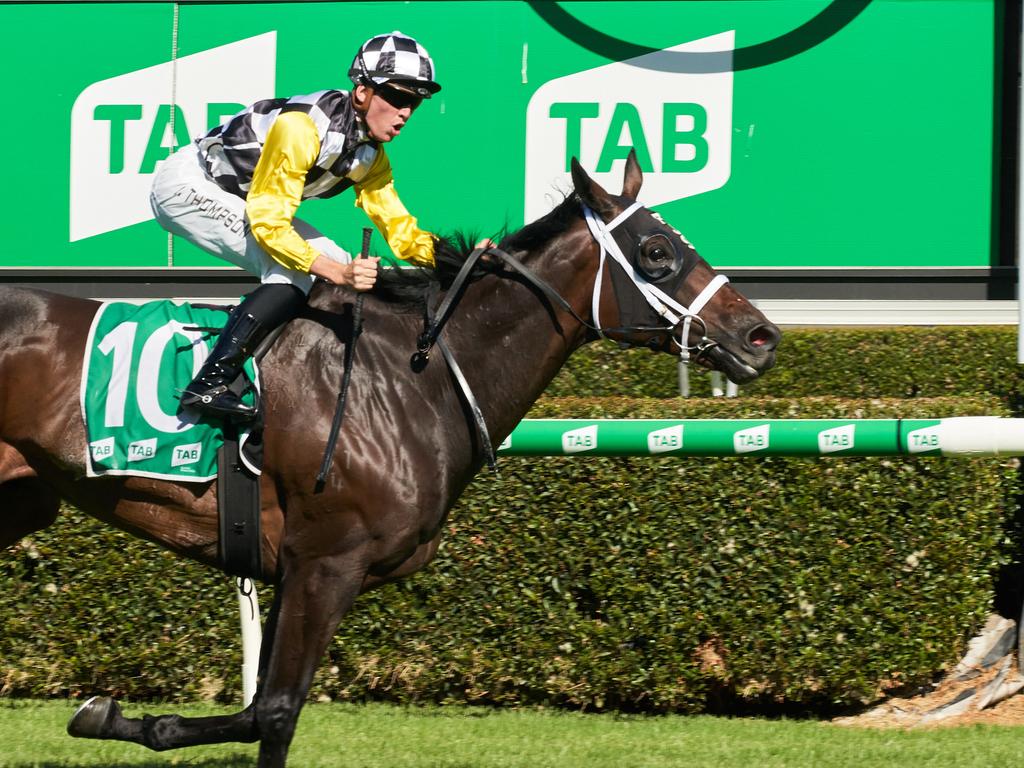 Ben Thompson riding Good Idea finishes first in the Adelaide Cup at Morphettville Racecourse, Monday, March 8, 2021. Picture: MATT LOXTON