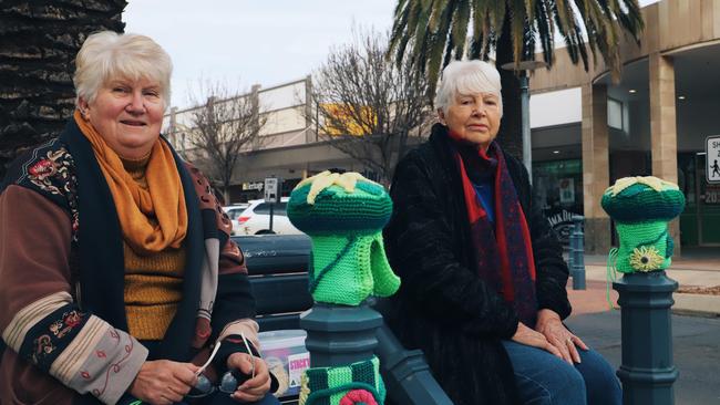 Val Grayson and Jeanette Braithwaite knitting bollard covers (Photo: Zilla Gordon).