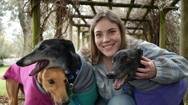 Shannon Pestana, pictured with April, Lady Grey and Ava, couldn’t speak any higher about the benefits of greyhound adoption