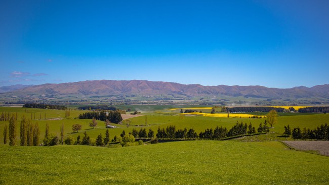 ‘A doozy’: Powerful 6.2 magnitude earthquake strikes New Zealand’s ...