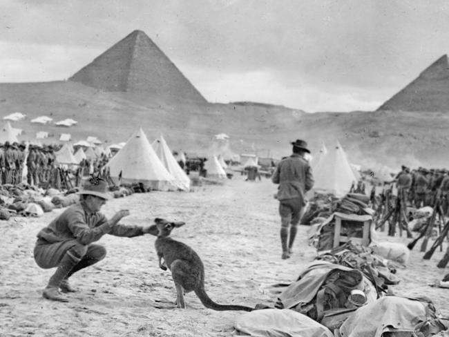 Diggers from the Australian 9th and 10th Battalions at Mena Camp, looking towards the Pyramids. The soldier in the foreground is playing with a kangaroo, the regimental mascot. Many Australian units brought Australian animals with them to Egypt, and some were given to the Cairo Zoo when the units went to Gallipoli.