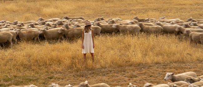 Holly Bowden in the middle of a sheep flock on a Tassie farm during filming for Left Off The Map. Picture: Simon Hamilton.