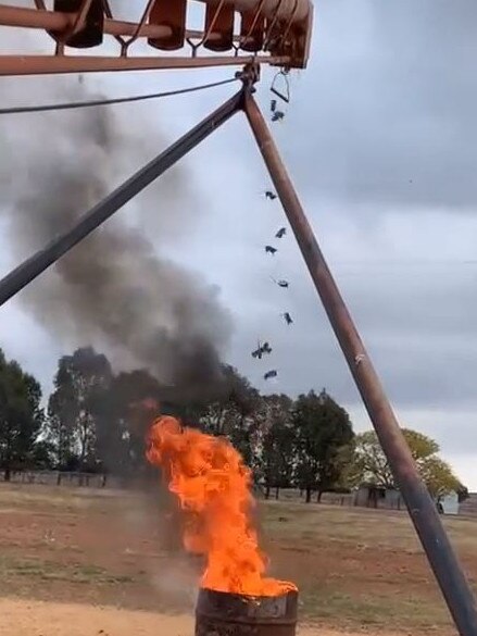 Aussie farmer Andrew drops mice into a burning 44 gallon drum. Picture: TikTok/@andyj3825