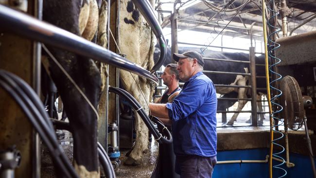 Greg in the dairy with staff.