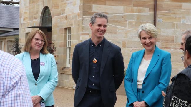 Labor MPs Donna Davis, Andrew Charlton and Tanya Plibersek at Parramatta Female Factory in September 2023 when they announced tentative UNESCO World Heritage listing for the precinct.