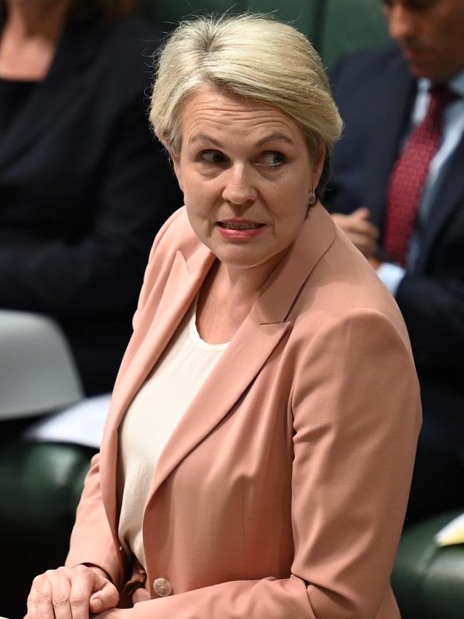 Minister for the Environment and Water Tanya Plibersek. Picture: NCA NewsWire / Martin Ollman