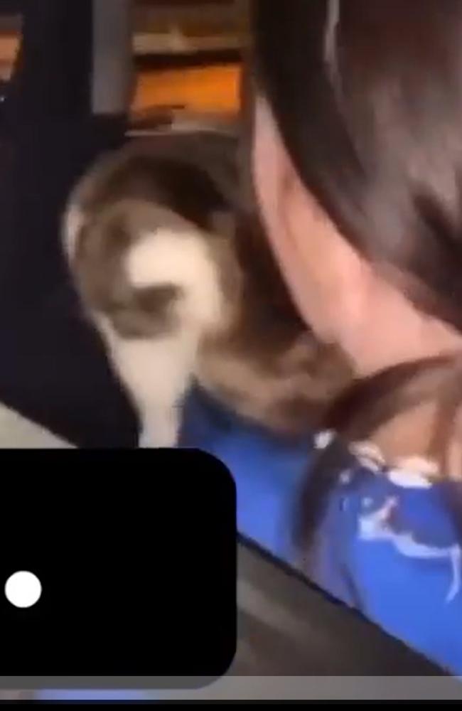 The cat was on the teen's lap before she allegedly tossed it. Picture: Seven News