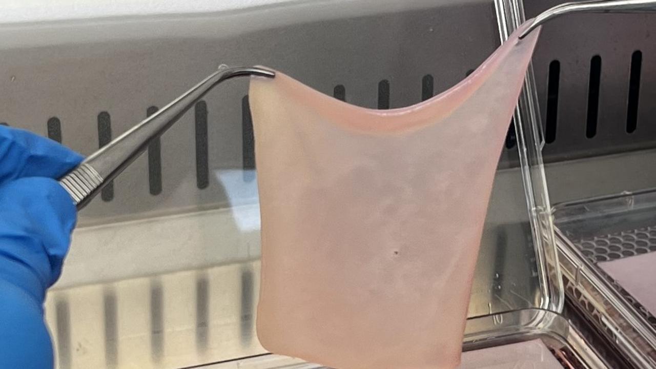 The artifical tissue mimics the top crucial layers of skin and comes after years of work at The Alfred and Monash University. Picture: supplied