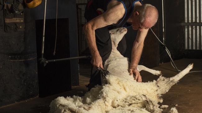 Brian and his late father combined have been shearing for 109 years in the district.