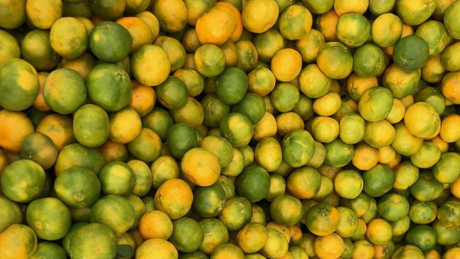 Horticultural powerhouse Costa Group has expanded its citrus portfolio with the purchase of KW Orchards in Sunraysia.