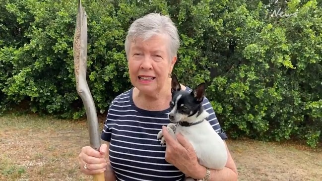 Grandma takes on snake after it bites dog