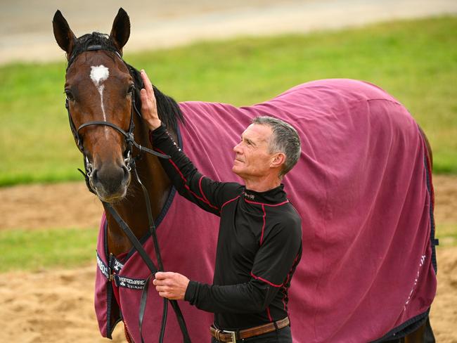 MELBOURNE, AUSTRALIA - OCTOBER 14: The Aidan O'Brien trained Jan Brueghel poses with Dean Gallagher during trackwork session at Werribee International Horse Centre on October 14, 2024 in Melbourne, Australia. Jan Brueghel is the current Melbourne Cup Favourite. (Photo by Vince Caligiuri/Getty Images)