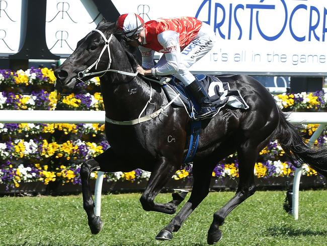 SYDNEY, AUSTRALIA - OCTOBER 18: Blake Shinn rides Kuro during Sydney Racing at Royal Randwick Racecourse on October 18, 2014 in Sydney, Australia. (Photo by Anthony Johnson/Getty Images)