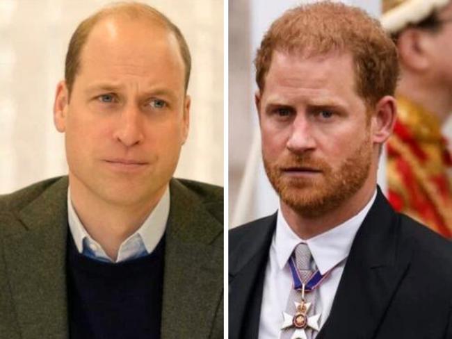 Prince Harry and Prince William