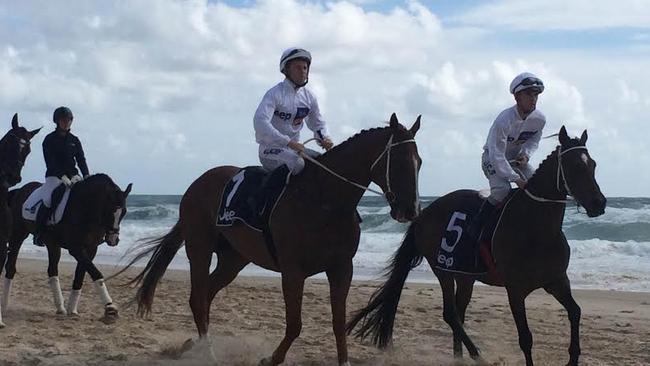 Tommy Berry at the Magic Millions barrier draw at Surfers Paradise. Pic: Kathleen Skene