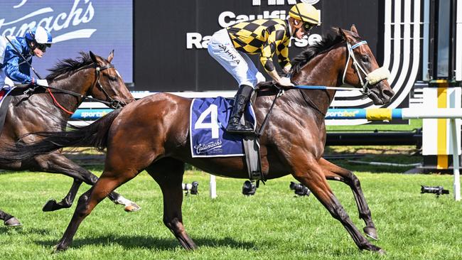 Stay With Me could head north to Queensland for races such as the Stradbroke Handicap and Tatts Tiara during the Brisbane Winter Carnival. Picture: Racing Photos via Getty Images.