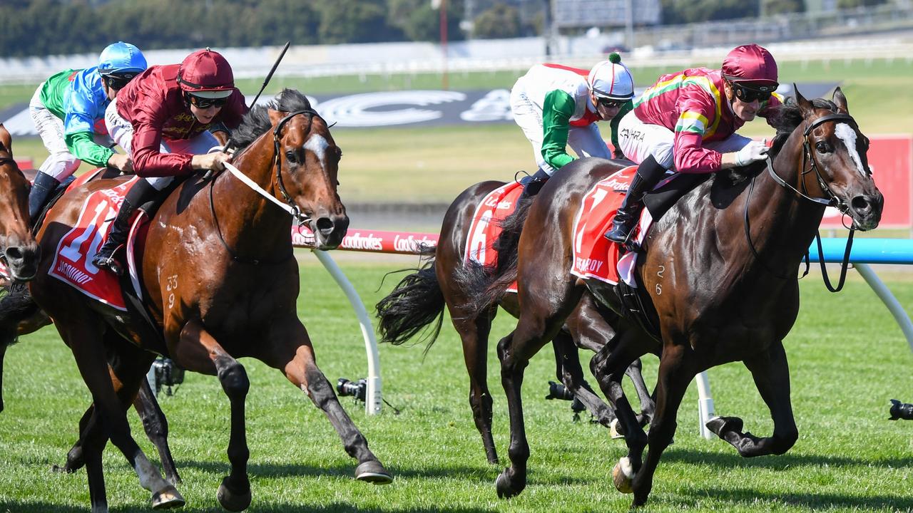 Jacquinot will ‘be too good’ for rivals in Australian Guineas | The ...