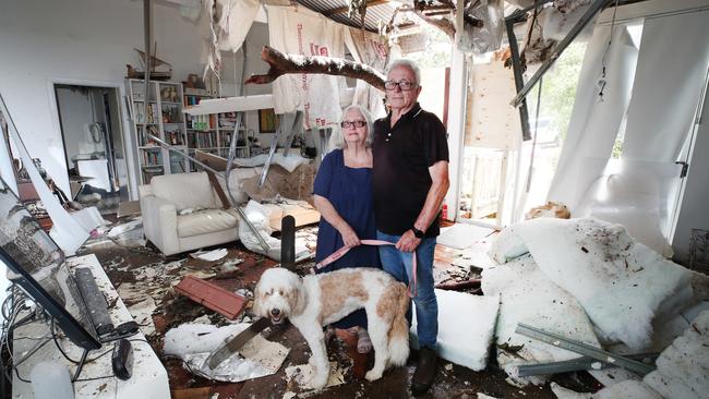 Susan and David Hanmore, with their dog Gracie, were lucky to escape with their lives when a tree speared through their living room roof at Tamborine Mountain, in the Gold Coast hinterland, on Christmas night. Picture: Glenn Hampson