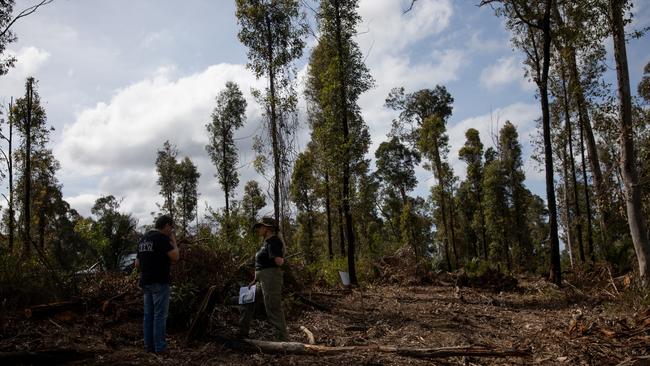 Brooman State Forest Conversation Group is one of a number of grassroots movements that sprung up after the Black Summer bushfires. Picture: Nathan Schmidt