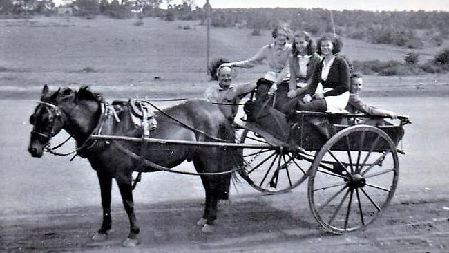 Horse and carts were not only used for transport but as delivery vehicles for milk and groceries.