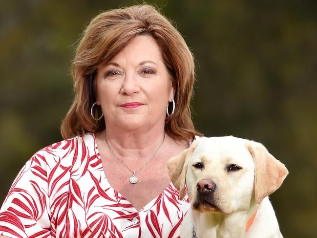 Guide Dogs CEO’s political gaffe upsets donors