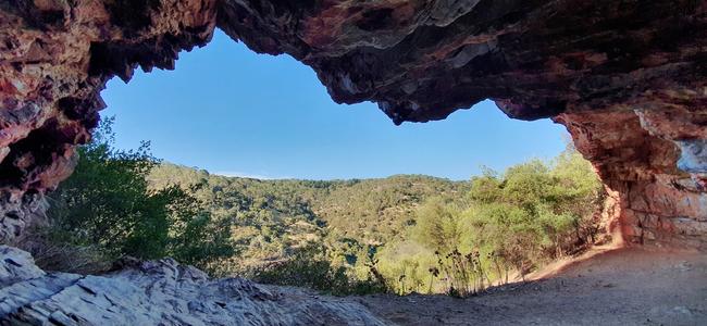 The cave on the northern face of the hill residents call Mount Skye at Horsnell Gully, within the area of the proposed expansion of Hanson's White Rock Quarry. Picture: Demetrios (Jim) Bastiras