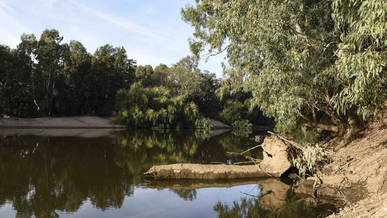 Murrumbidgee river frontage at Nick Austin’s property. Picture: Dannika Bonser