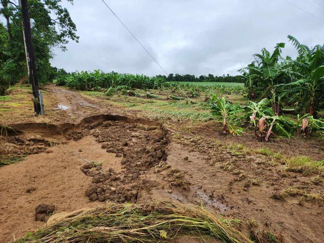 Banana plants and roads damaged near Townsville. Picture: Australian Banana Growers' Council