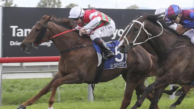 Lightly-raced mare Russley Tiara looks a great chance at Muswellbrook. Picture: Bradley Photos