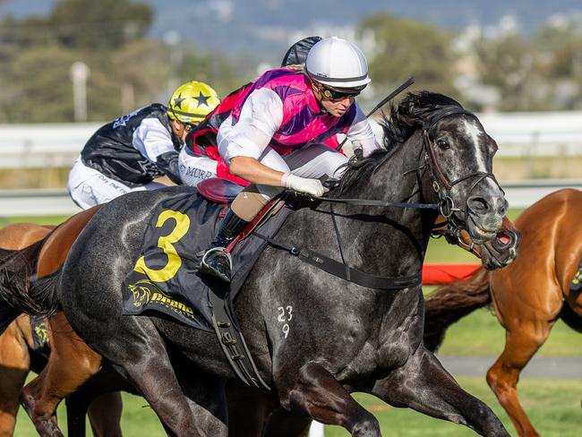 Kayla Crowther pilots Sghirripa to victory at Morphettville in October. Picture: Makoto Kaneko