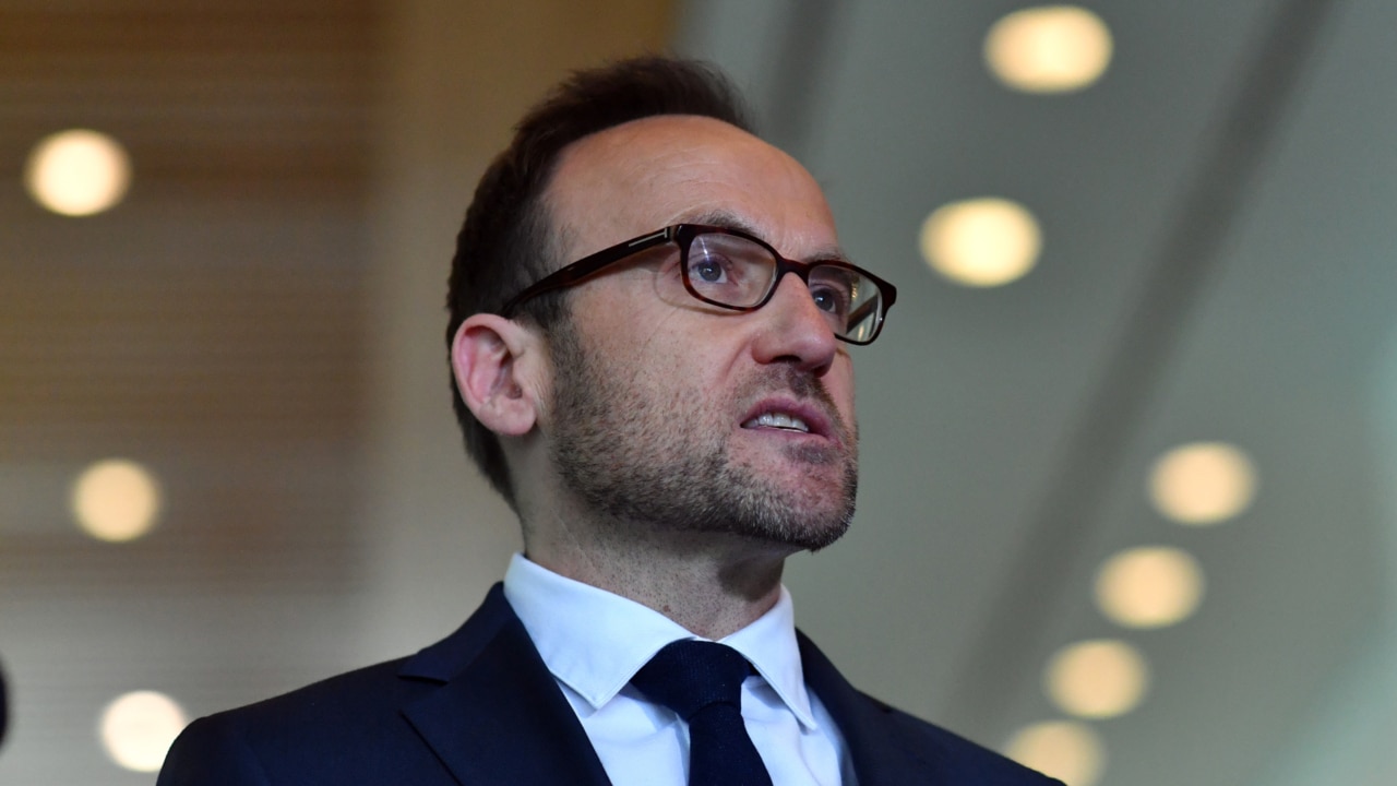 Adam Bandt making 'stunts' rather than 'real reforms'