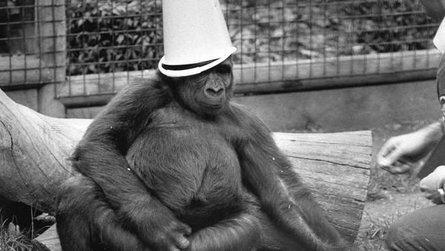 Mzuri on his third birthday.