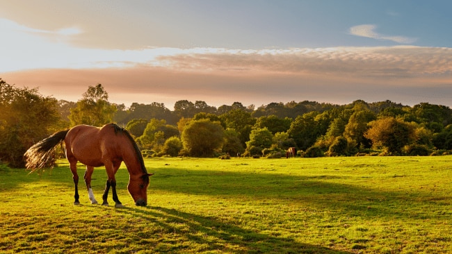 4 of the best ranch holidays to book now