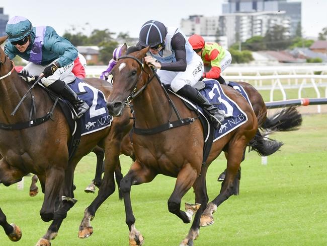 Formal (outside) can break through for a well-earned win at Wyong. Picture: Bradley Photos