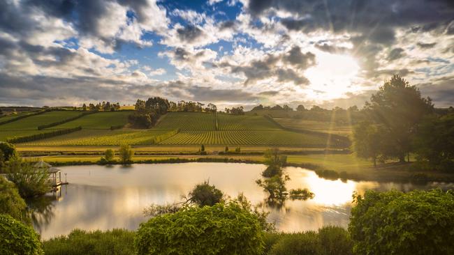 The pioneering sparkling winery Josef Chromy Wines, in Relbia, where this year’s festival will be held. Picture: ROB BURNETT/ For Josef Chromy Wines.