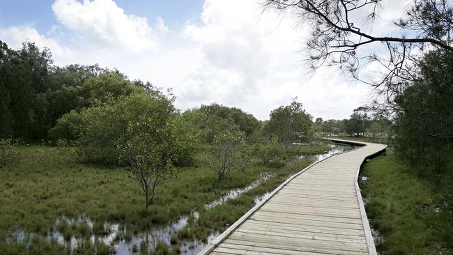 The Beree Badalla wetland reserve boardwalk. It gets even better!