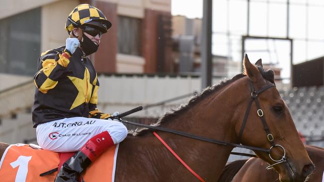 Craig Williams returns to scale on Behemoth after winning the Sir Rupert Clarke Stakes. Picture: Getty Images