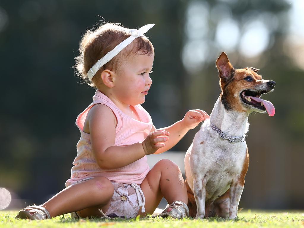 Look after your dog and they return the love and then some. Picture: Adam Head