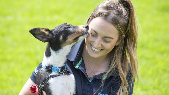 RSPCA animal care manager Kadi Ridley, from the dog team, with Serena, one of the kelpies. Picture: Brett Hartwig