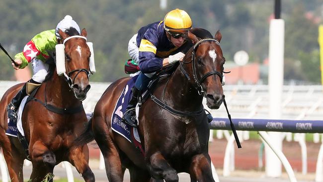 Alabama Express was a dominant last-start winner at Flemington. Picture: Getty Images